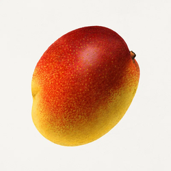 Mango dotfiles